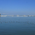 636-2.jpg