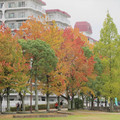 637-2.jpg