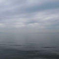 639-2.jpg