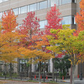 641-2.jpg