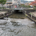 641-3.jpg