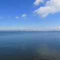 642-1.jpg