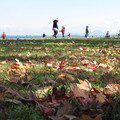 642-2.jpg
