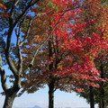 642-3.jpg