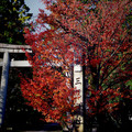 644-1.jpg