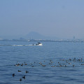 644-3.jpg