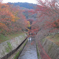 645-1.jpg