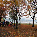 646-2.jpg