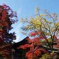 647-1.jpg