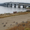 650-2.jpg