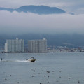 650-3.jpg