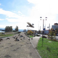 656-2.jpg