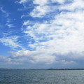 659-1.jpg
