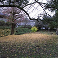 659-3.jpg