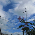 660-3.jpg