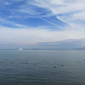 661-2.jpg
