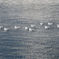 693-3.jpg