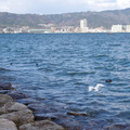 697-2.jpg