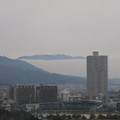 700-1.jpg