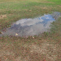 701-2.jpg