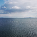 703-1.jpg