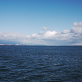 703-3.jpg