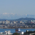 710-1.jpg