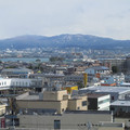 715-1.jpg