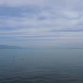 753-1.jpg