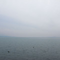 759-3.jpg