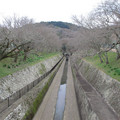 761-3.jpg