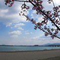762-2.jpg