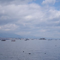764-1.jpg