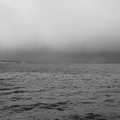 768-1.jpg