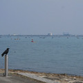 772-3.jpg