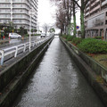 774-1.jpg