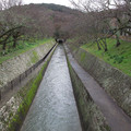 774-3.jpg