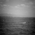 775-1.jpg