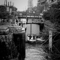 775-3.jpg
