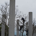 776-2.jpg
