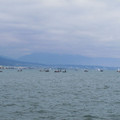 780-2.jpg