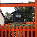 782-1.jpg