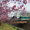 783-2.jpg