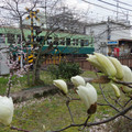783-3.jpg