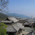 784-1.jpg