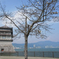 784-3.jpg