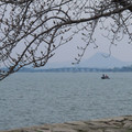 785-1.jpg