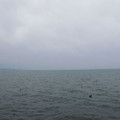 785-2.jpg