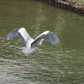 818-2.jpg