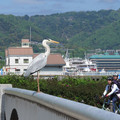 822-1.jpg